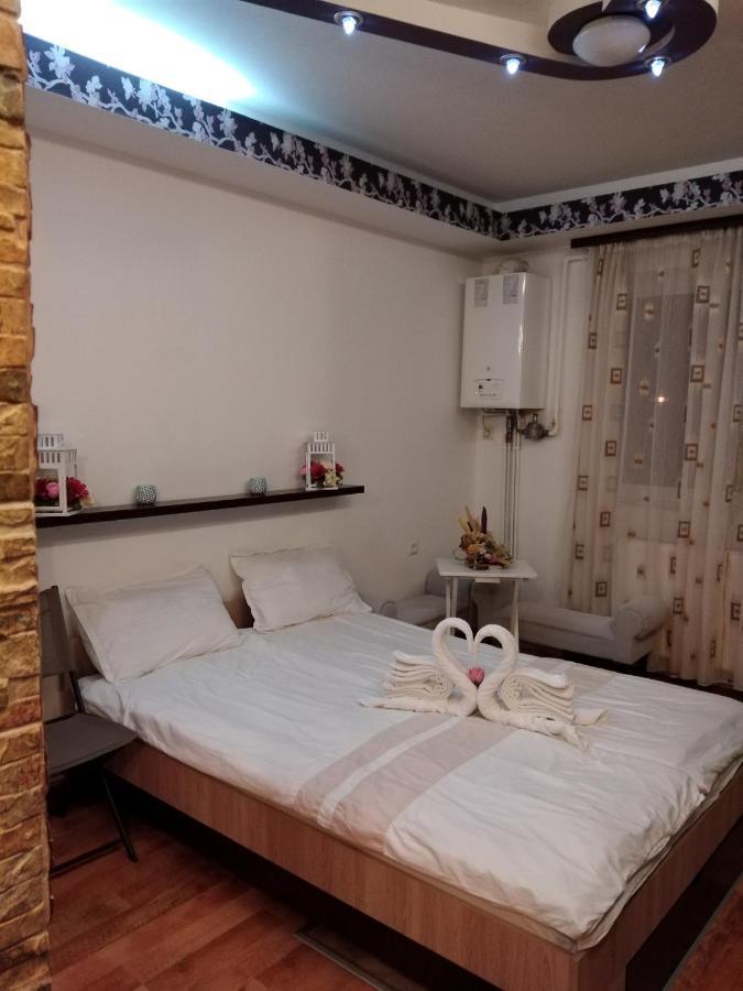 Alexandra 'S Studio Apartment Brasov Exterior photo