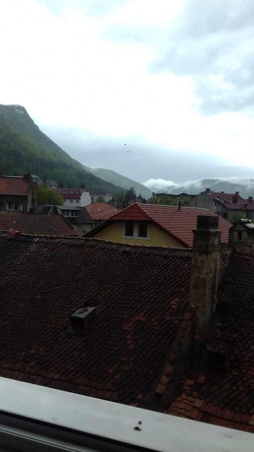 Alexandra 'S Studio Apartment Brasov Exterior photo