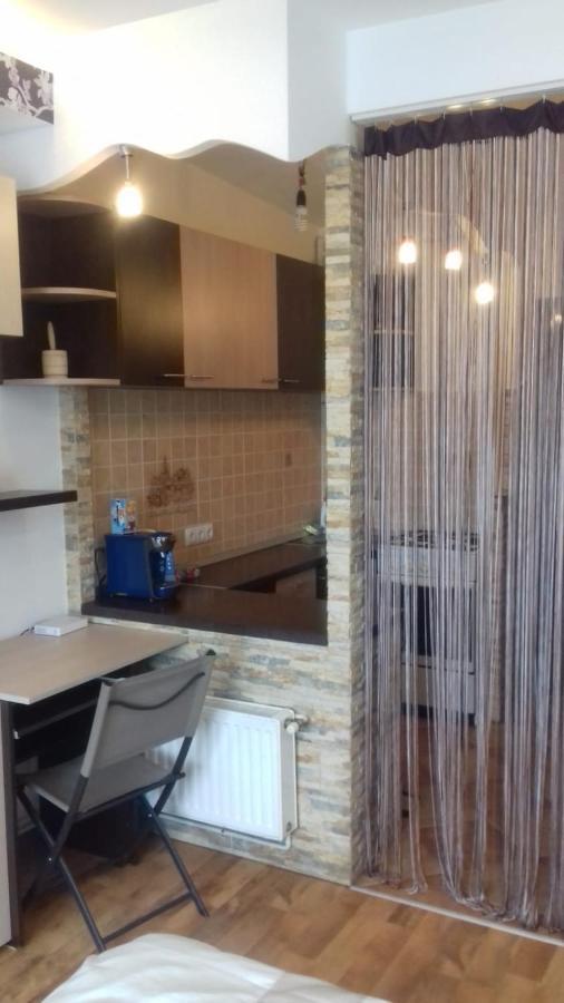 Alexandra 'S Studio Apartment Brasov Exterior photo