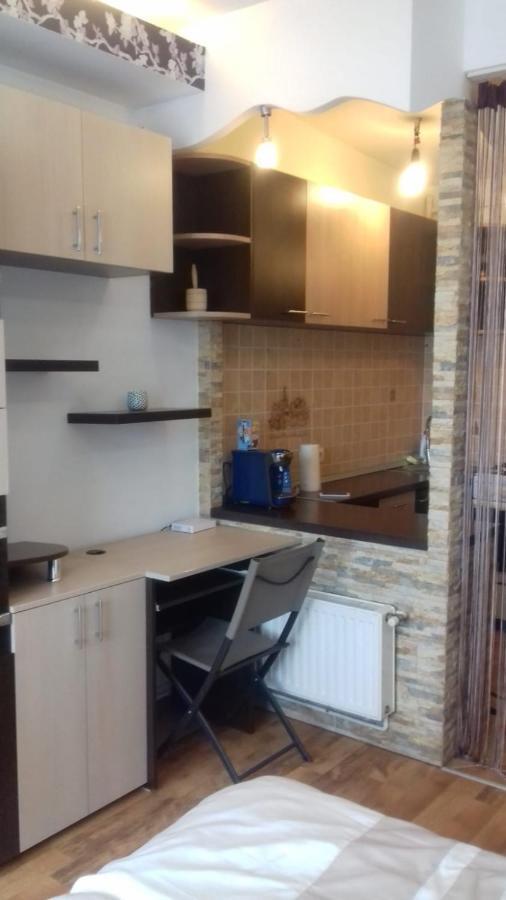Alexandra 'S Studio Apartment Brasov Exterior photo
