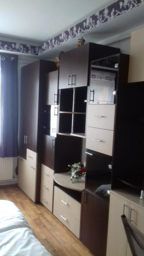 Alexandra 'S Studio Apartment Brasov Exterior photo
